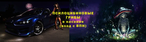 гидропоника Горняк