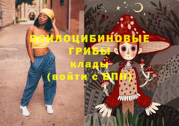 гидропоника Горняк