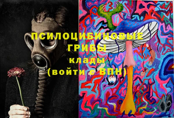 соль курить ск Гусиноозёрск