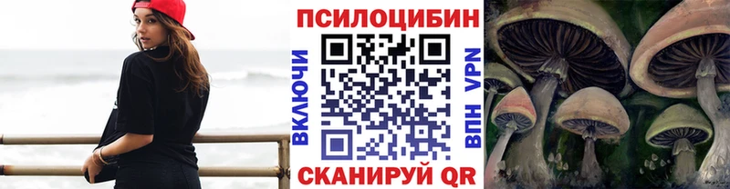 Псилоцибиновые грибы Psilocybe  где купить наркоту  Пестово 